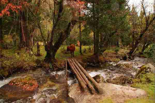 孟屯河谷住宿哪里最好 停車收費+廁所收費+帳篷租借 孟屯河谷住宿哪里最好 停車收費+廁所收費+帳篷租借