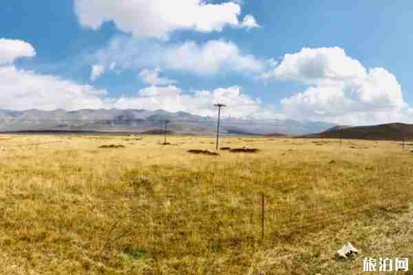西寧住宿住哪里比較好 甘肅旅游住宿攻略