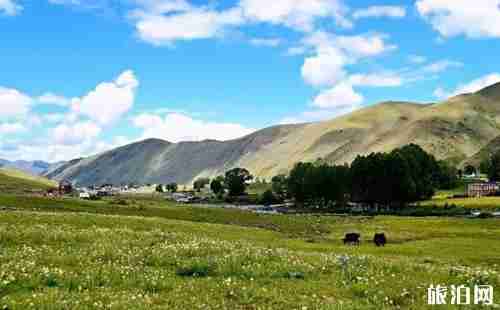 寶雞到稻城多少公里 寶雞到稻城七天旅游路線推薦 寶雞到稻城多少公里 寶雞到稻城七天旅游路線推薦