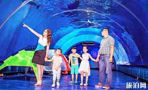 2018成都海昌极地海洋公园门票价格+年卡价格+优惠信息 2018成都海昌极地海洋公园门票价格+年卡价格+优惠信息
