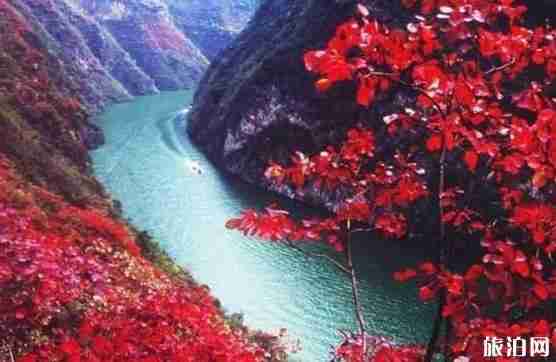 川西红叶旅游最全攻略