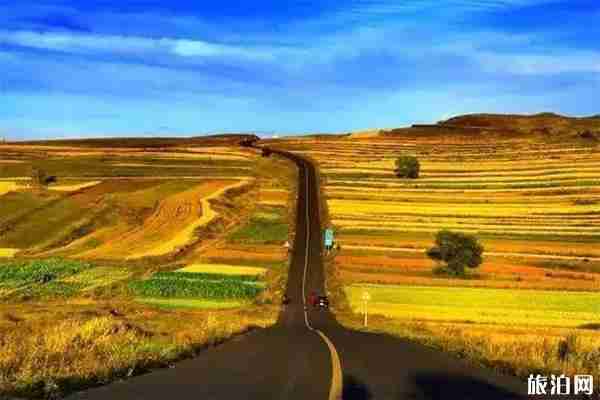 河北草原天路有住宿的地方嗎 推薦住宿 河北草原天路有住宿的地方嗎 推薦住宿