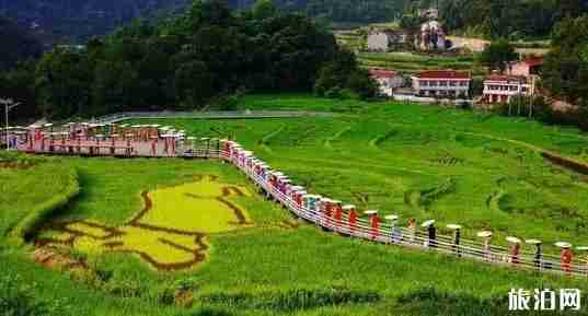 佛坪縣屬于哪個市 佛坪縣旅游景點介紹