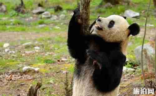 佛坪縣屬于哪個市 佛坪縣旅游景點介紹