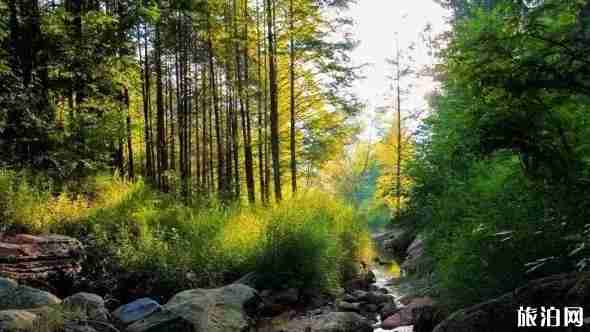 佛坪縣屬于哪個市 佛坪縣旅游景點介紹