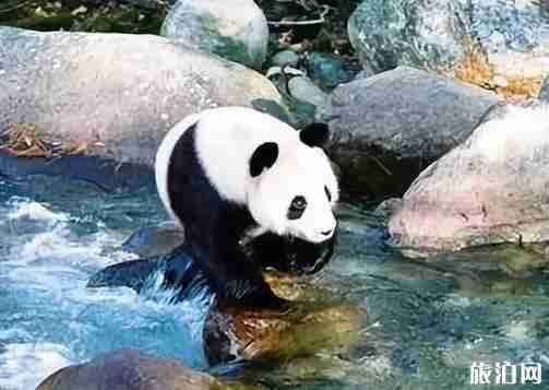 佛坪縣屬于哪個市 佛坪縣旅游景點介紹