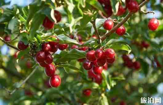 佛坪縣屬于哪個市 佛坪縣旅游景點介紹