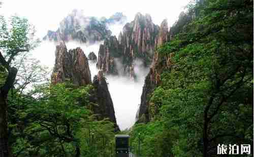 黄山门票优惠政策2018 黄山门票优惠政策2018