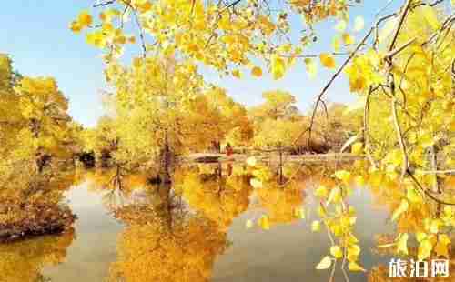 秋天旅游线路推荐 秋天旅游线路推荐