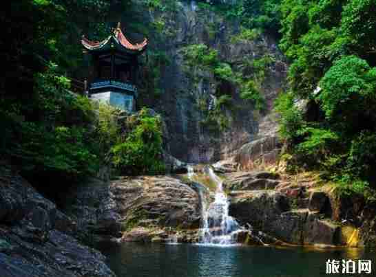 郭家河乡的十里枫杨林怎么样 郭家河乡的十里枫杨林怎么样