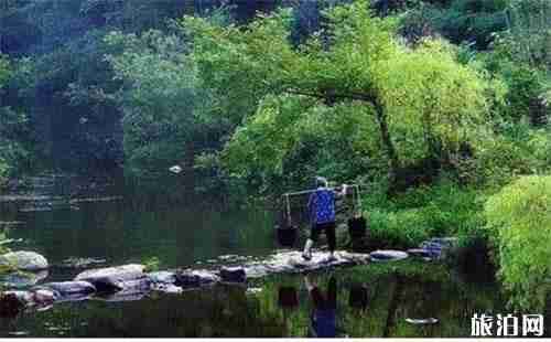 郭家河乡的十里枫杨林怎么样 郭家河乡的十里枫杨林怎么样