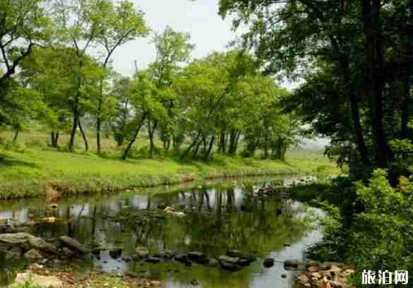 郭家河乡的十里枫杨林怎么样 郭家河乡的十里枫杨林怎么样