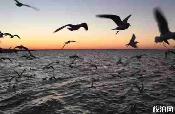 秋天旅游线路推荐 秋天旅游线路推荐