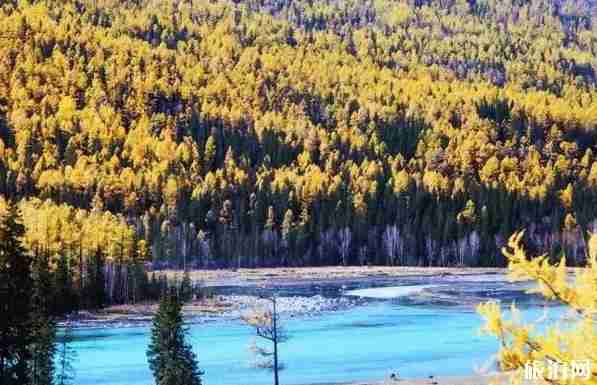 秋天旅游线路推荐 秋天旅游线路推荐