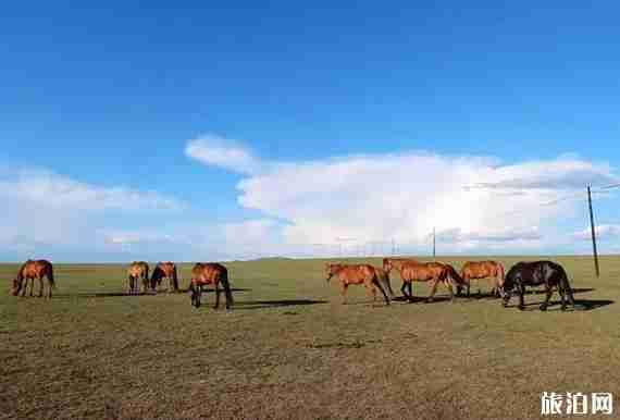秋天旅游线路推荐 秋天旅游线路推荐