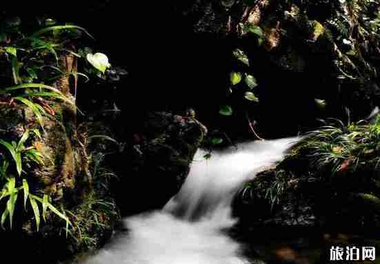 信阳李寨大王村怎么样 要门票吗
