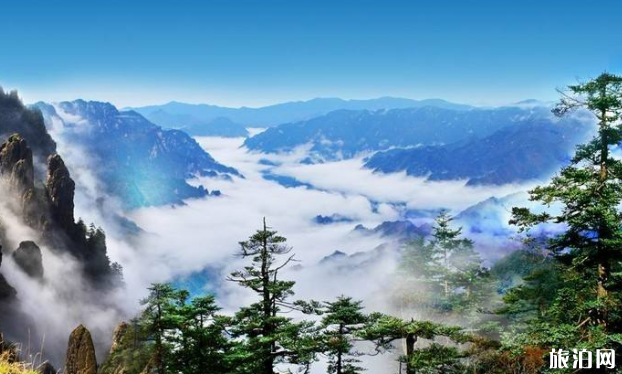 去神農架住哪里方便 去神農架怎么去