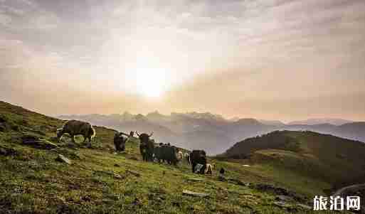 达瓦更扎封山了吗 达瓦更扎游玩攻略 达瓦更扎封山了吗 达瓦更扎游玩攻略