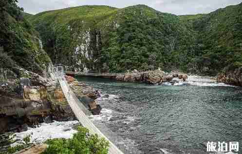 赫曼努斯观鲸指南 赫曼努斯观鲸指南