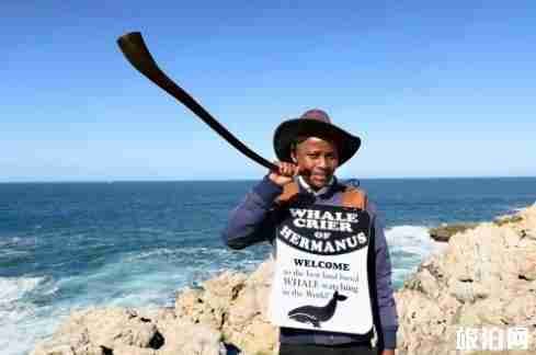 赫曼努斯观鲸指南 赫曼努斯观鲸指南