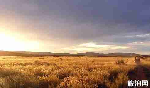 赫曼努斯观鲸指南 赫曼努斯观鲸指南