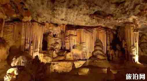 赫曼努斯观鲸指南 赫曼努斯观鲸指南