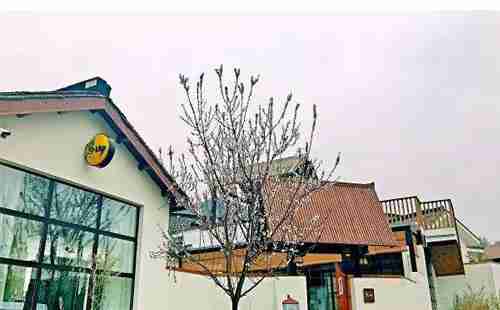 南京旅游民宿推薦2018