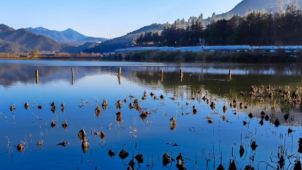 騰沖住宿哪里好 騰沖住宿哪里好
