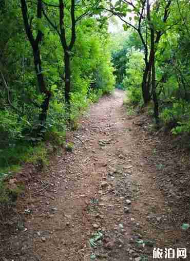 三皇寨旅游攻略