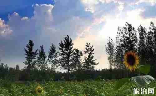 安徽最美乡村名单