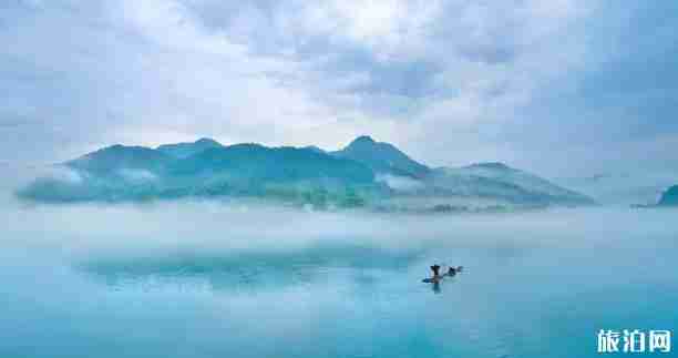 古堰画乡门票 江南烟雨浙江图片+景点介绍 古堰画乡门票 江南烟雨浙江图片+景点介绍