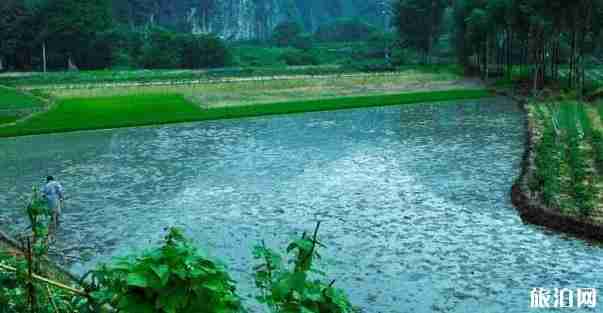 古堰画乡门票 江南烟雨浙江图片+景点介绍 古堰画乡门票 江南烟雨浙江图片+景点介绍