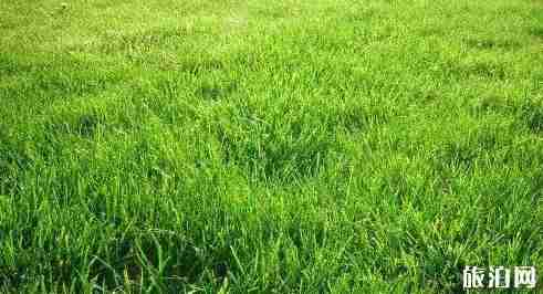 日本汉字词街头常见的有哪些