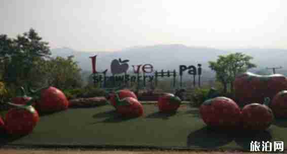 泰国pai县攻略2018 清迈到pai县交通