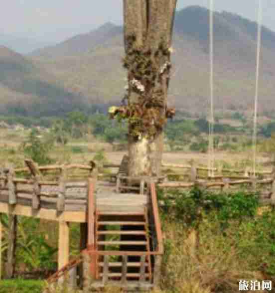 泰国pai县攻略2018 清迈到pai县交通