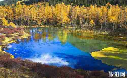 玛嘉沟旅游攻略 景点介绍+自驾游线路安排 玛嘉沟旅游攻略 景点介绍+自驾游线路安排