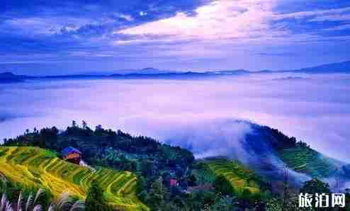 新化紫鹊界梯田门票多少钱