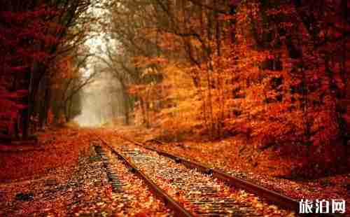 2018日本賞楓時間+地點推薦 日本去哪里賞楓