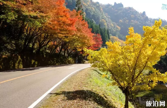 2018日本賞楓時間+地點推薦 日本去哪里賞楓