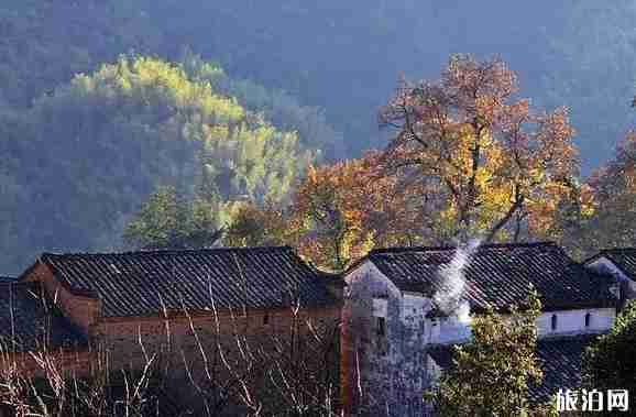 婺源賞秋什么時候最美 婺源賞秋攻略