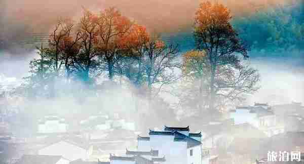 婺源賞秋什么時候最美 婺源賞秋攻略