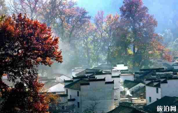 婺源賞秋什么時候最美 婺源賞秋攻略