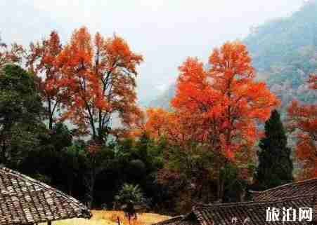 9月湖南旅游值得去的地方