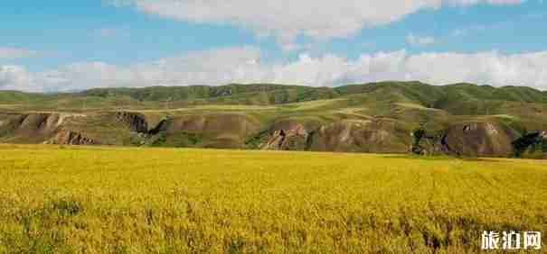 新疆十一自駕游攻略