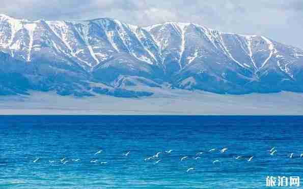 新疆十一自駕游攻略