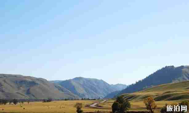 新疆十一自駕游攻略