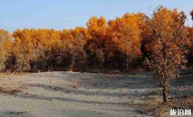 新疆十一自駕游攻略