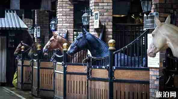 新疆十一自駕游攻略