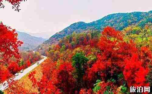 9月東北旅游攻略2018