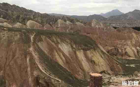 成都到額濟納胡楊林8天旅游路線推薦